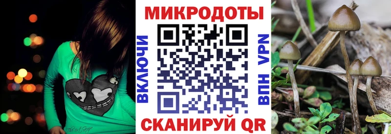 Псилоцибиновые грибы Cubensis  Игарка 