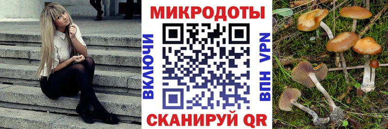 Галлюциногенные грибы Psilocybine cubensis Игарка